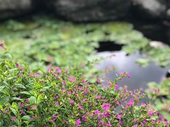 -瑞穗牧场