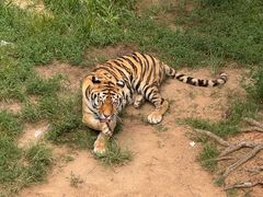 -西霞口神雕山野生动物世界