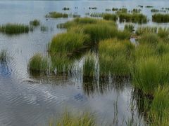 -花湖生态旅游区
