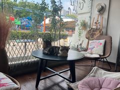 -参差咖啡(水果湖公园店)