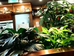 -洞庭家宴·头牌甲鱼(广渠门店)