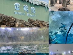 -珠海长隆海洋王国