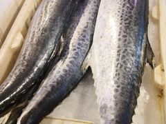 -芦潮港集贸市场