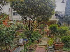 -谷咖啡·鲜花绿植花园餐厅