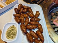 -杨记齐齐哈尔烤肉(总店)