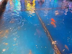 -钳真多钓虾馆·小龙虾海鲜烧烤(九六广场店)