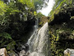 -龙苍沟森林公园
