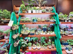 -扶光书店(中环店)