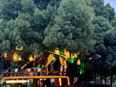 -军山湖云水间生态农业旅游景区