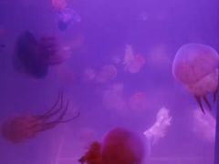 -欧亚达商业广场(红桥店)