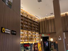 -深影国际影城(学院南路店CGS中国巨幕店)