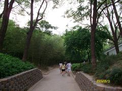 -紫竹院公园冰场