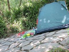 -铁山坪森林公园