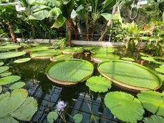 -国家植物园南园