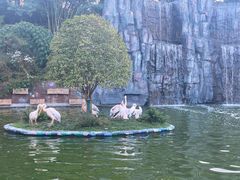 -贵州森林野生动物园