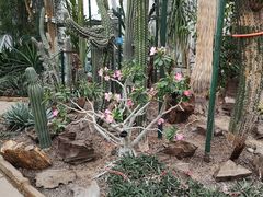 -北京植物园-展览温室