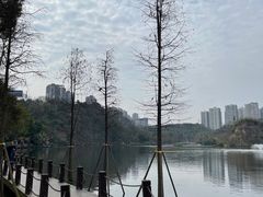 -重庆彩云湖湿地公园