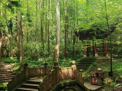 -凤栖山