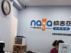 -纳吉亚猫专科动物诊疗中心(蒋宅口分院)
