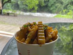 -西岭雪山大飞水景区