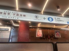 -敏华冰厅(平安金融中心店)
