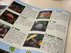 -太婆天府山珍酒楼(亚运村店)