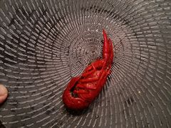 -新发展亚太JW万豪酒店·福苑咖啡厅