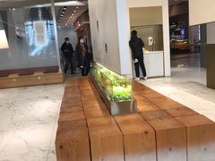 -喜茶(永旺梦乐城店)