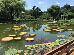 -国家植物园南园