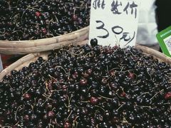 -五里多农博广场