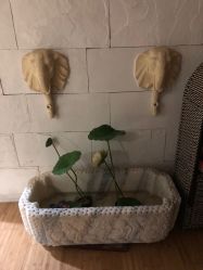 -悦尚生活空间•瑜伽普拉提•悦心芳香疗愈SPA
