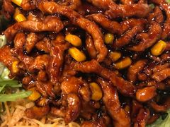 京酱肉丝-京氣春饼(机场店)