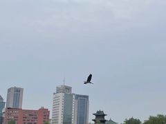 -迎泽公园
