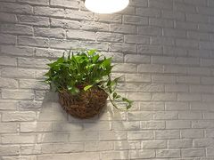 -7017浙菜•建德味(市心北路店)