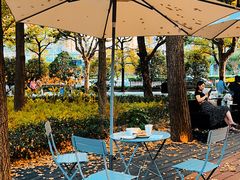 -陆家嘴中心绿地