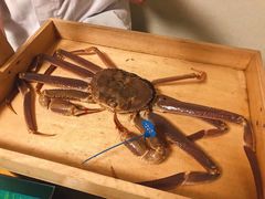 -蟹道乐(道顿堀本店)