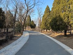 -白水寺森林公园