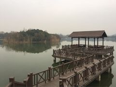 华东疗养院-上海市保健医疗中心(华东疗养院)