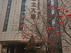 -东北大厦酒店(沈阳北站青年大街店)