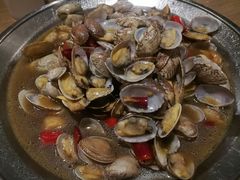 铜盘花蛤-新白鹿餐厅(城西银泰城店)