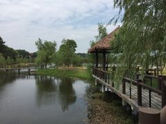 -黄陂区野村谷景区