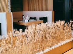 -西村日本料理(香格里拉饭店)