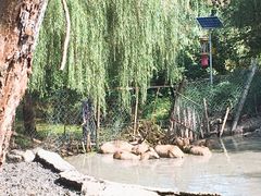 -溱湖国家湿地公园