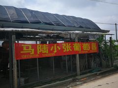 -马陆小张葡萄园农家乐