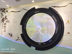 -如皋市龙游湖欢乐世界