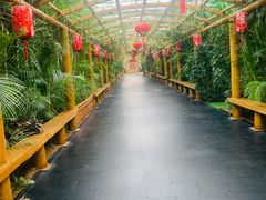 -东方华地城湿地温泉度假区