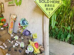 -大象粑粑造纸公园