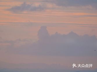 妈湾港最近因为5G智慧港口频频在各大媒体出现