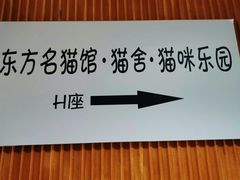 -东方名猫馆·英短金渐层布偶猫舍(环线广场1号楼店)