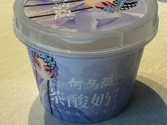 -大鸭梨烤鸭(望京店)